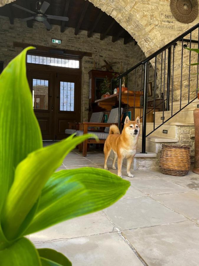 Lazaros Stonehouse Hotel Pano Lefkara Exterior photo